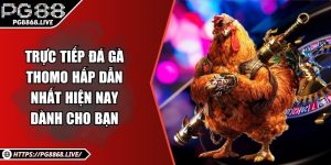 Trực Tiếp Đá Gà Thomo Hấp Dẫn Nhất Hiện Nay Dành Cho Bạn