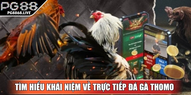 Tìm hiểu khái niệm về trực tiếp đá gà có nghĩa là gì